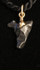 Sikhote-Alin Meteorite Pendant