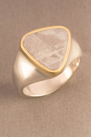 Gibeon Meteorite Ring in 18kt Gold and Sterling Silver