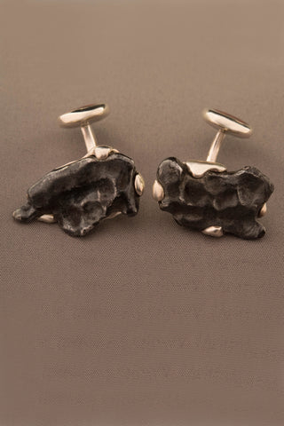Sterling Silver Dinosaur Bone and Sikhote-Alin Meteorite Cufflinks Sterling Silver Dinosaur Bone and Sikhote-Alin Meteorite Cufflinks
