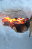 Grizzly Pan