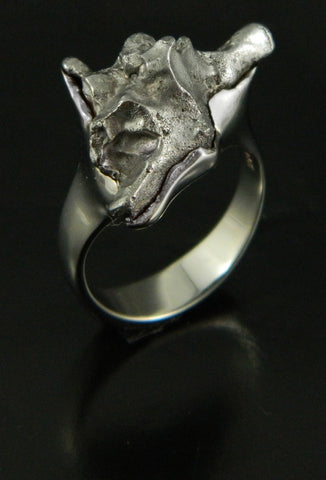 Sikhote-Alin Meteorite in 14kt White Gold Ring Sikhote-Alin Meteorite in 14kt White Gold Ring