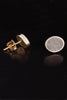 Gibeon Meteorite and White Gold Earrings