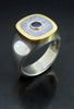 Gibeon Meteorite and Sapphire Ring