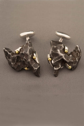 Dinosaur Bone and Sikhote-Alin Meteorite Cufflinks Dinosaur Bone and Sikhote-Alin Meteorite Cufflinks