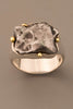 Sikhote-Alin Meteorite Ring in Sterling Silver and 18kt Gold