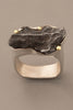 Sikhote-Alin Meteorite Ring in Sterling Silver and 18kt Gold