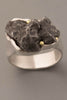 Large Sikhote-Alin Meteorite Ring in Sterling Silver and 18kt Gold