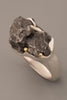 Large Sikhote-Alin Meteorite Ring in Sterling Silver and 18kt Gold